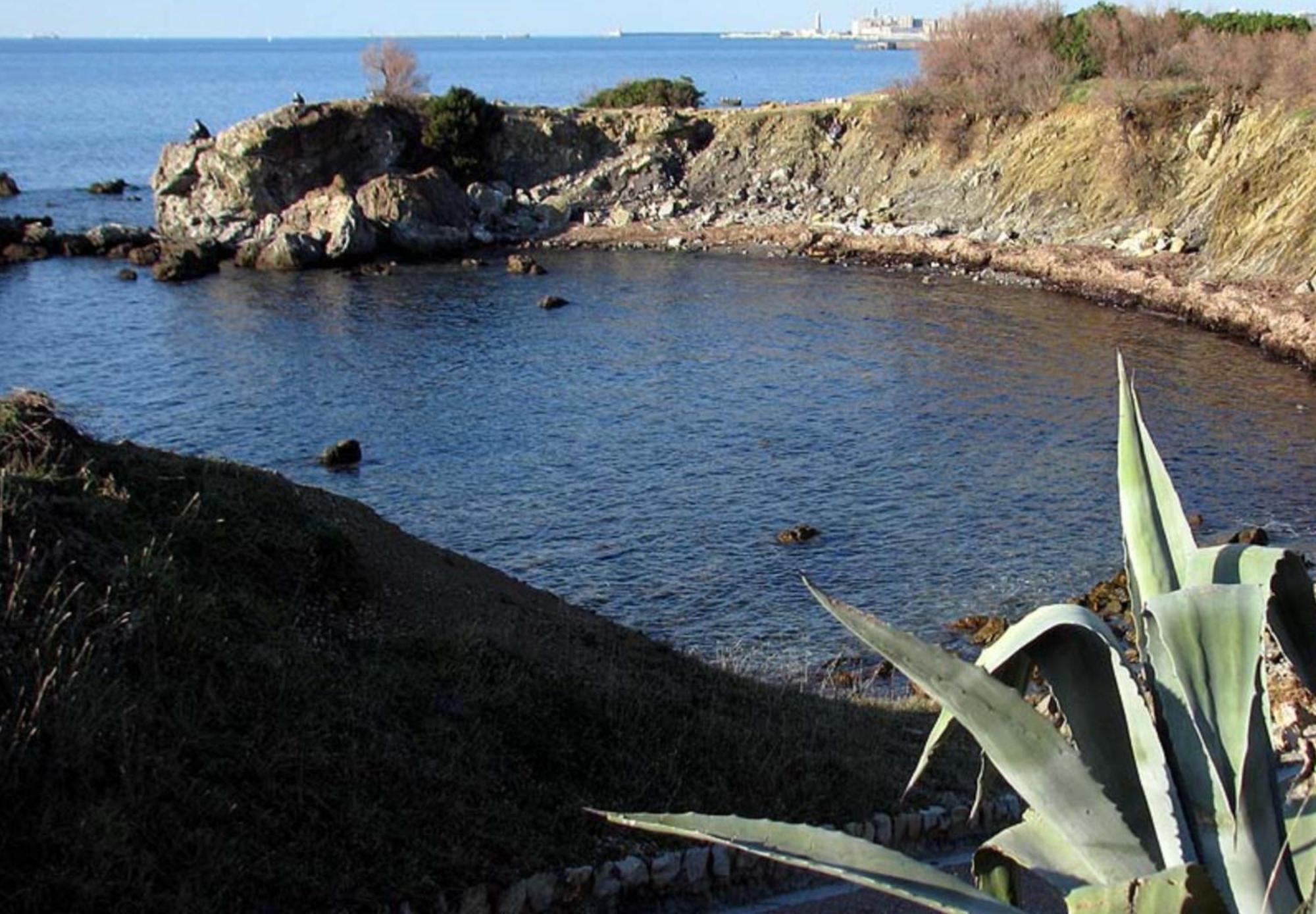 Appartamento A 100 Mt Dal Mare Livorno Esterno foto